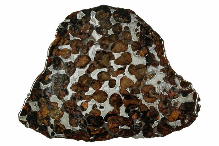 Sericho Pallasite Meteorite ( g) Slice - Kenya #335737